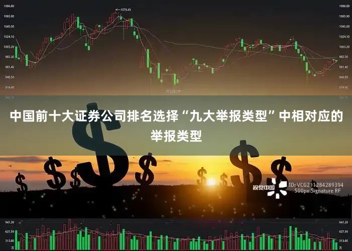 中国前十大证券公司排名选择“九大举报类型”中相对应的举报类型